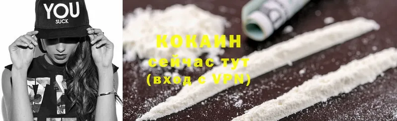 Cocaine Эквадор  дарнет шоп  Александров 